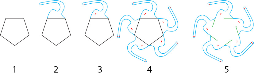 Generating a circumvolved design circumvolution-design-concept