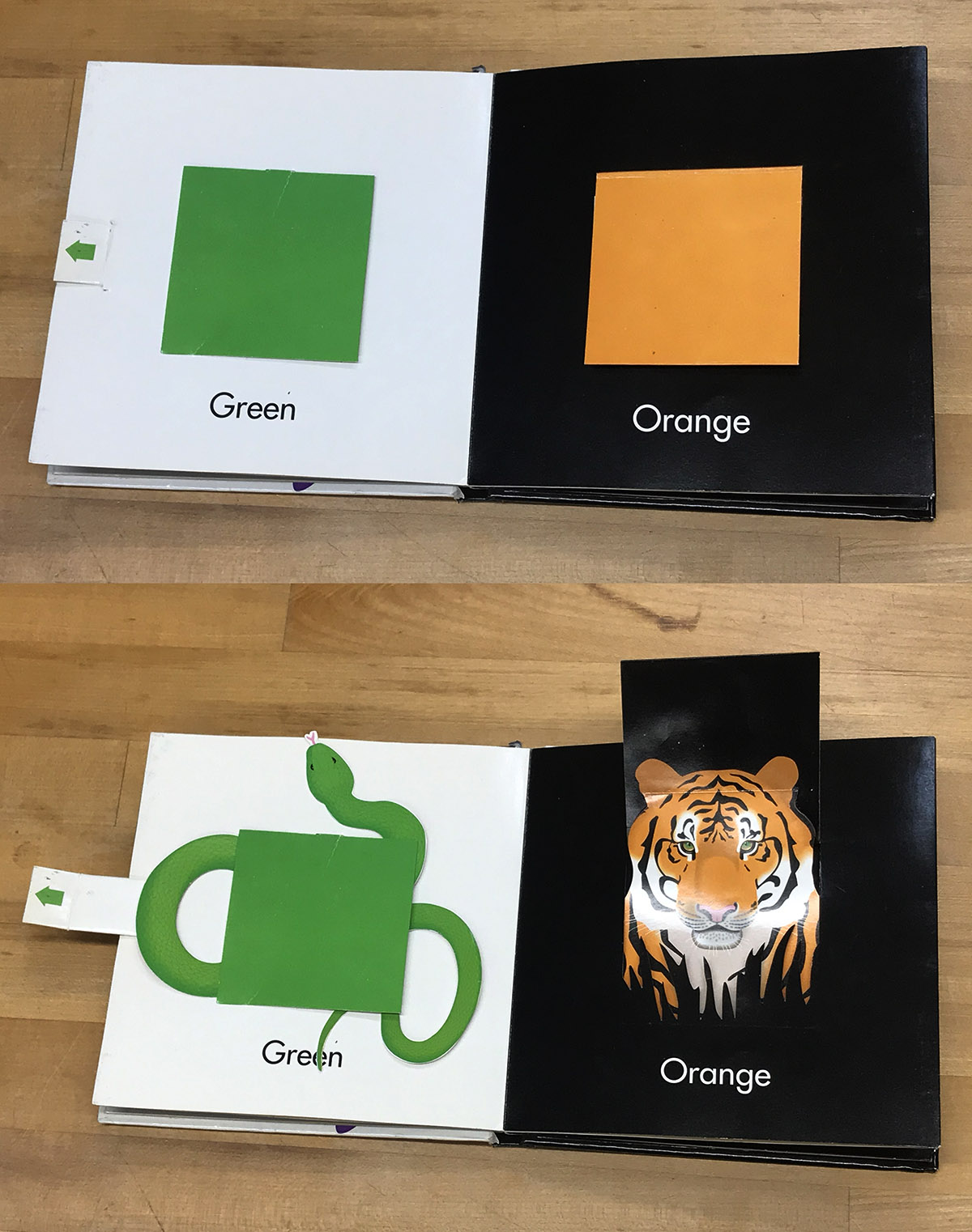 color-surprises-2