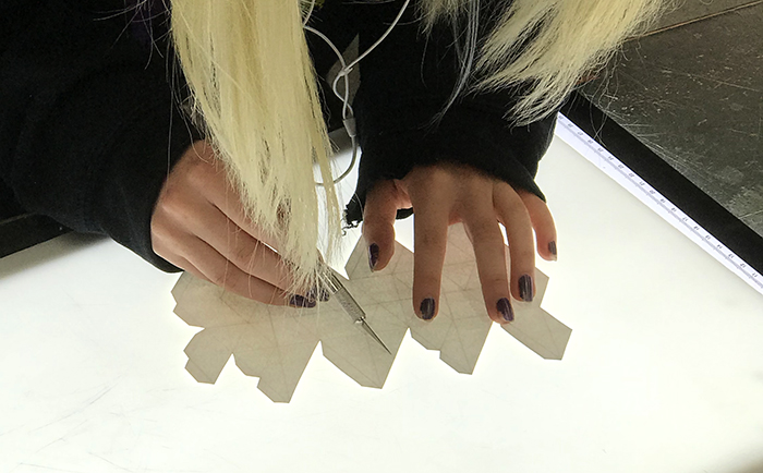 lightbox_use