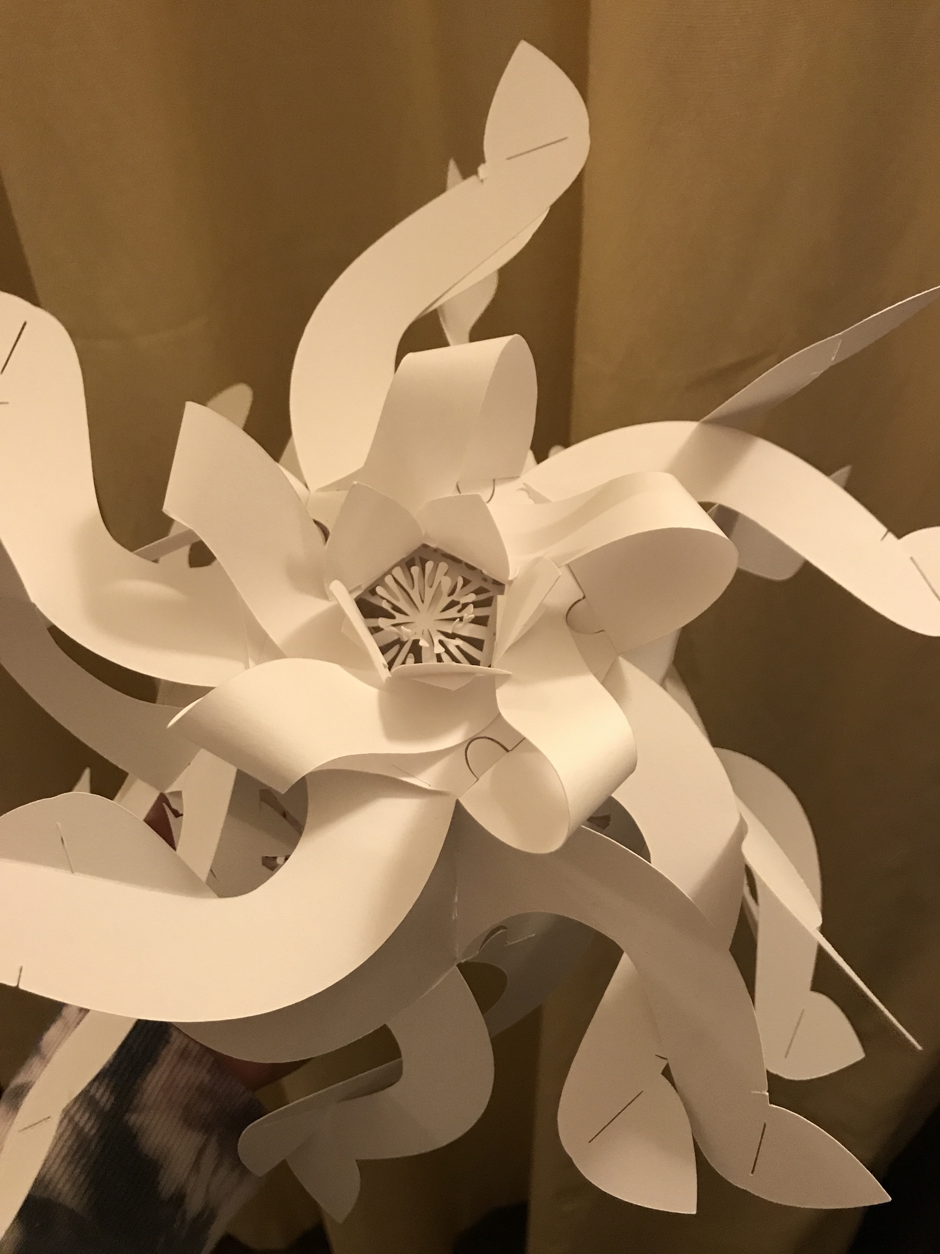 elaboration-prototype-color