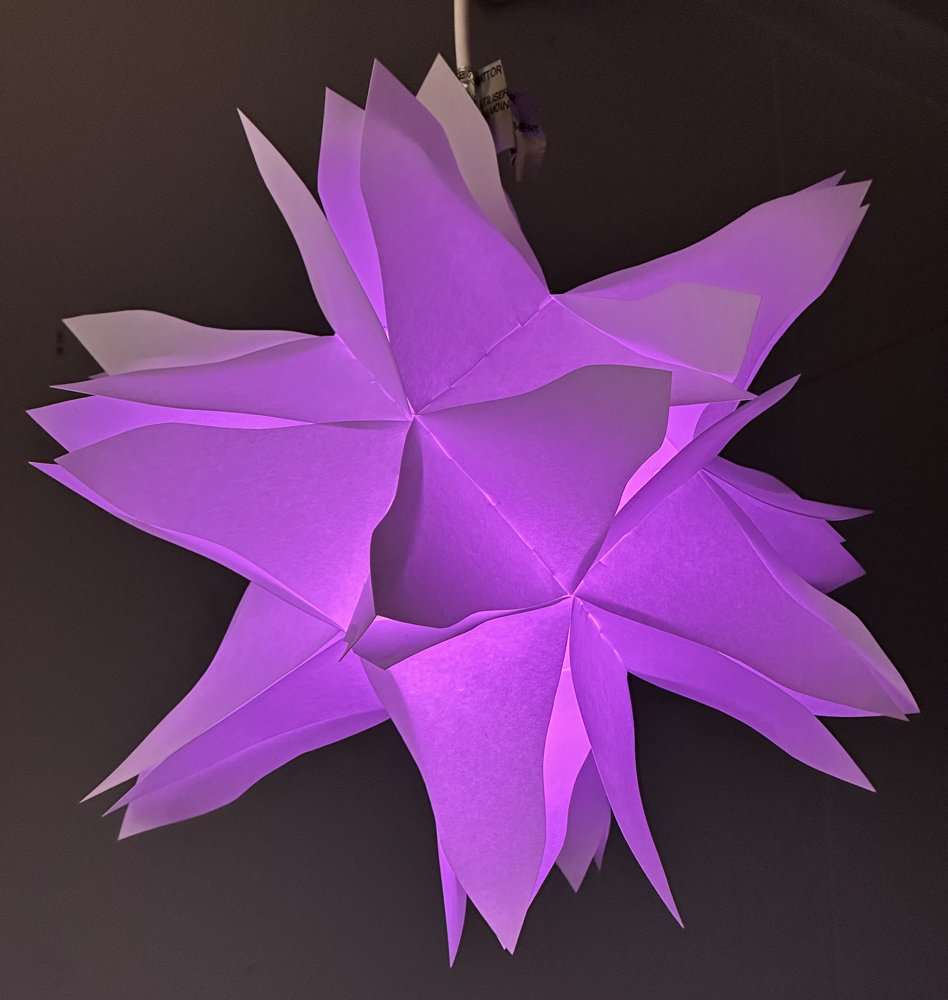 changing-purple