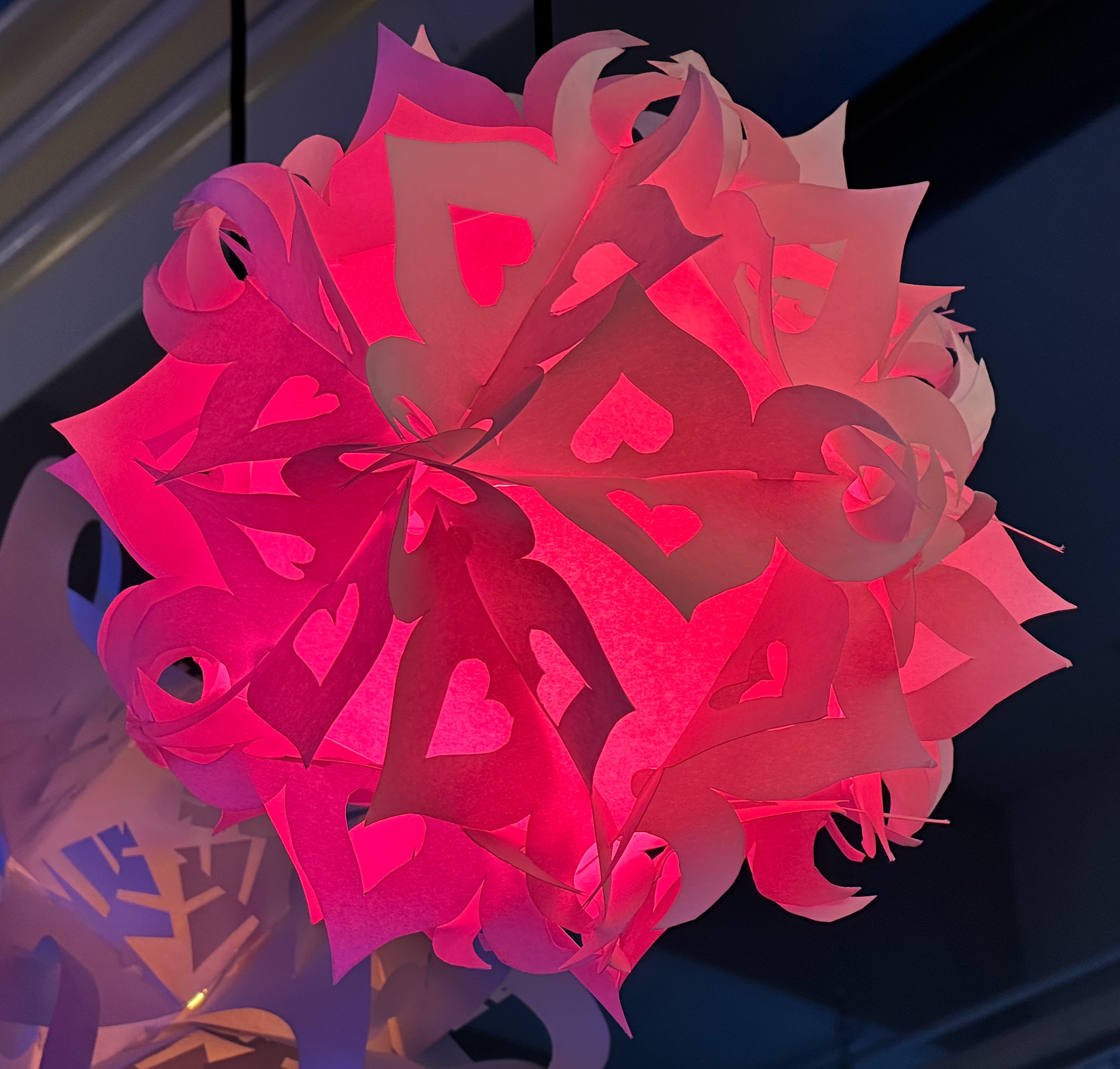raspberryjpg