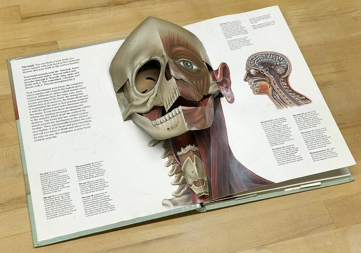 THE HUMAN BODY, by Jonathan Miller. the-human-body