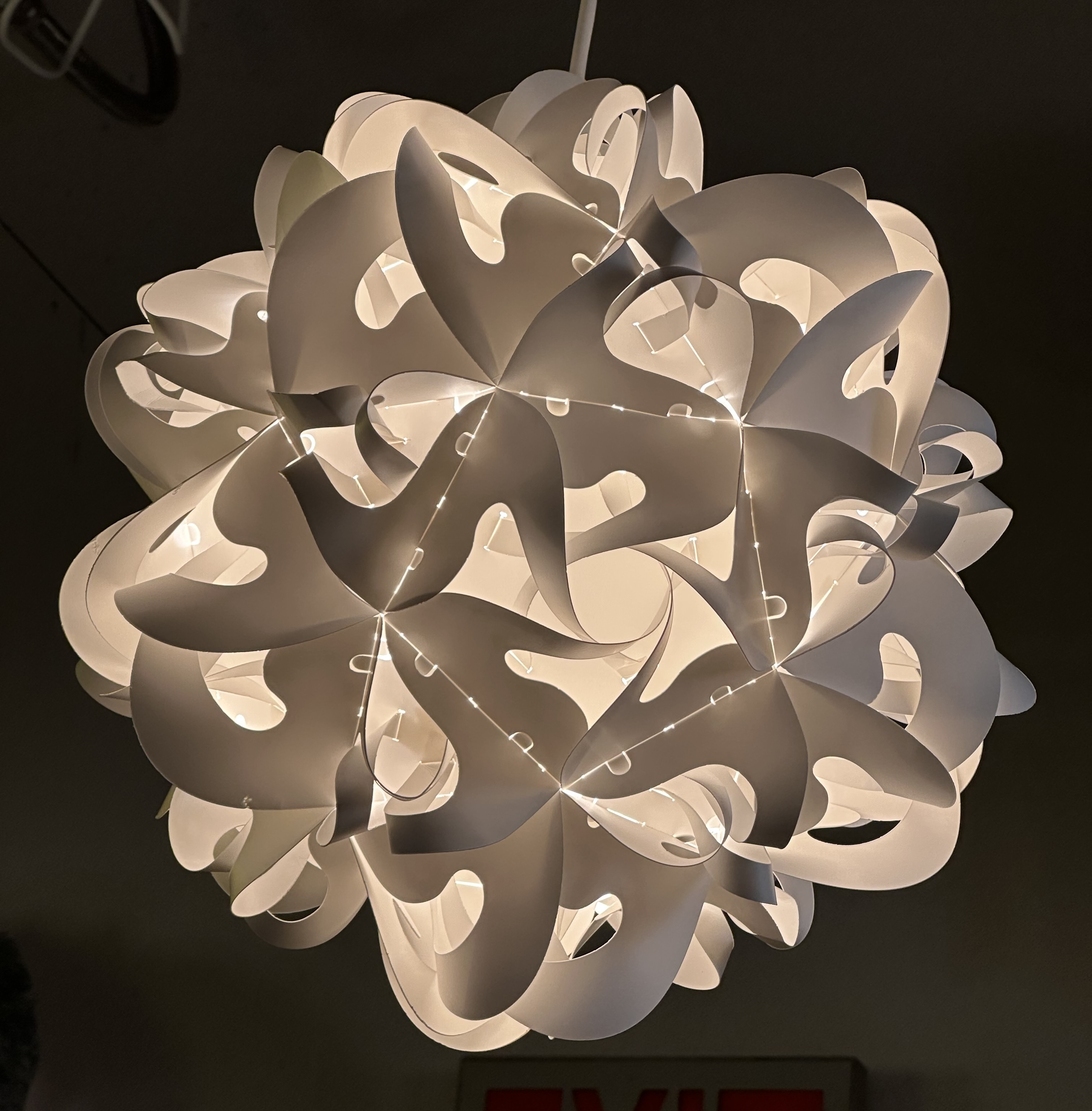 mimi-read-sp25-mcginnis4861