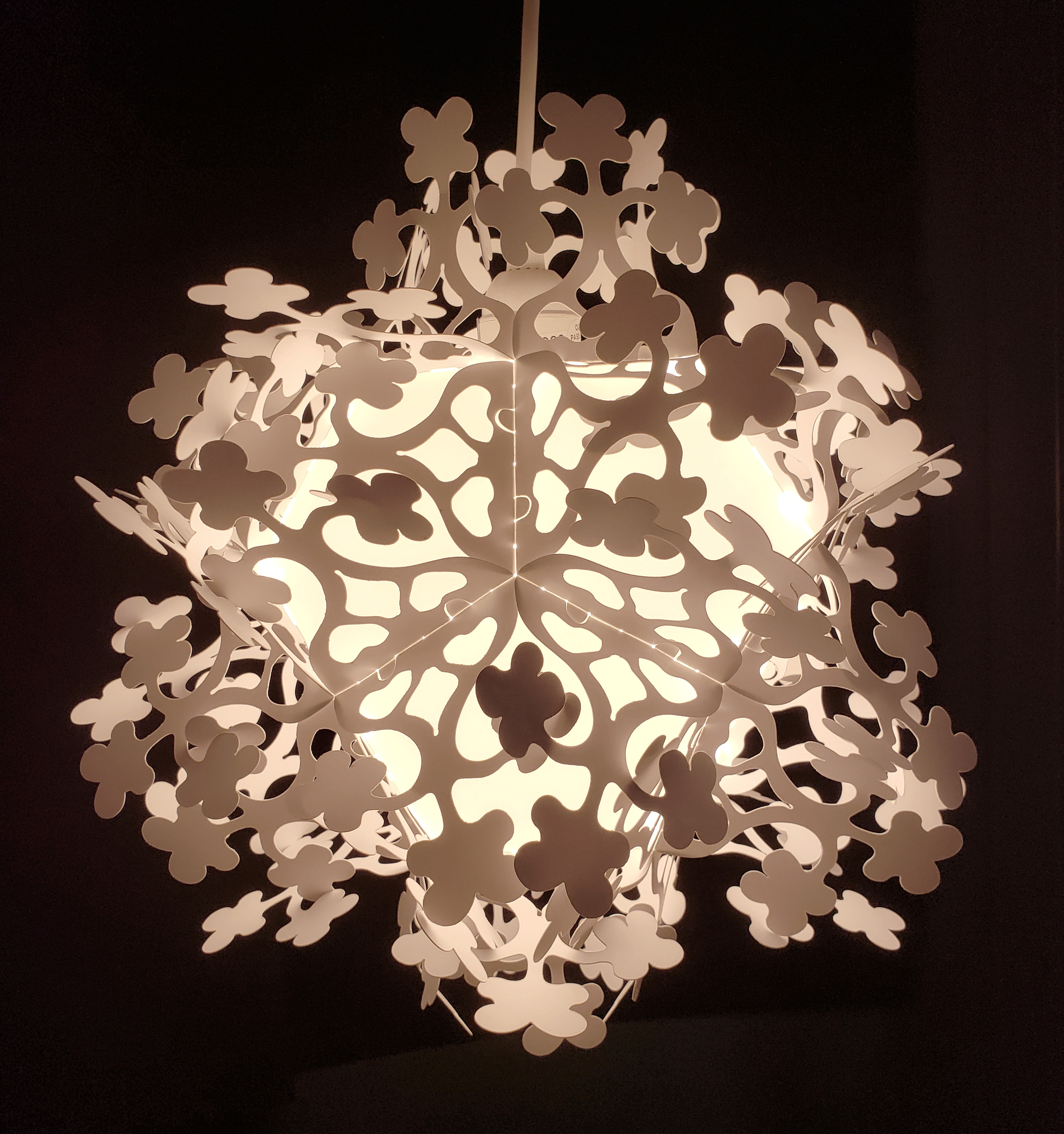 nayelli-cervantes-sp25-ogasawara