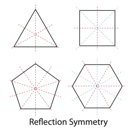 reflection-symmetry-2
