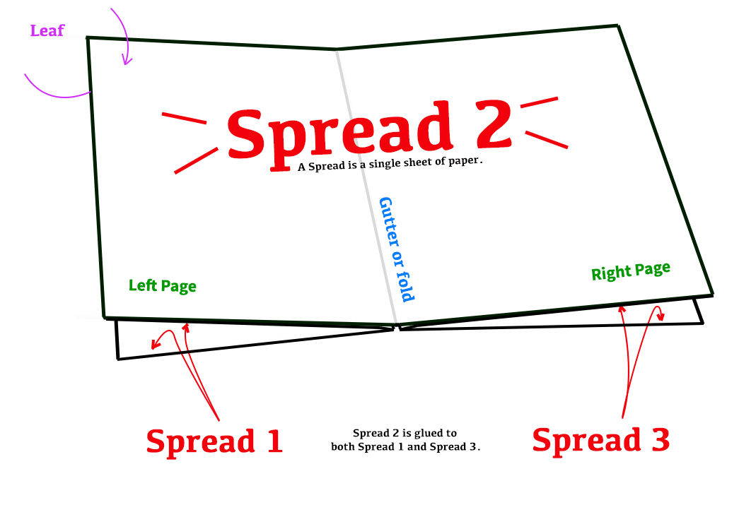 spread-illustration