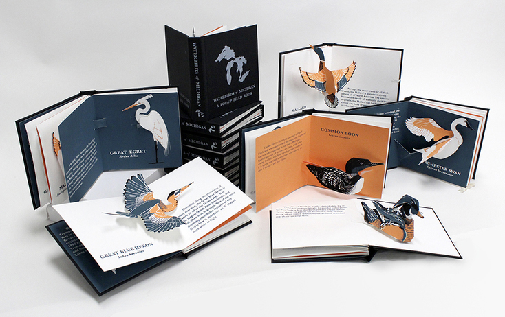 water-birds-of-michigan