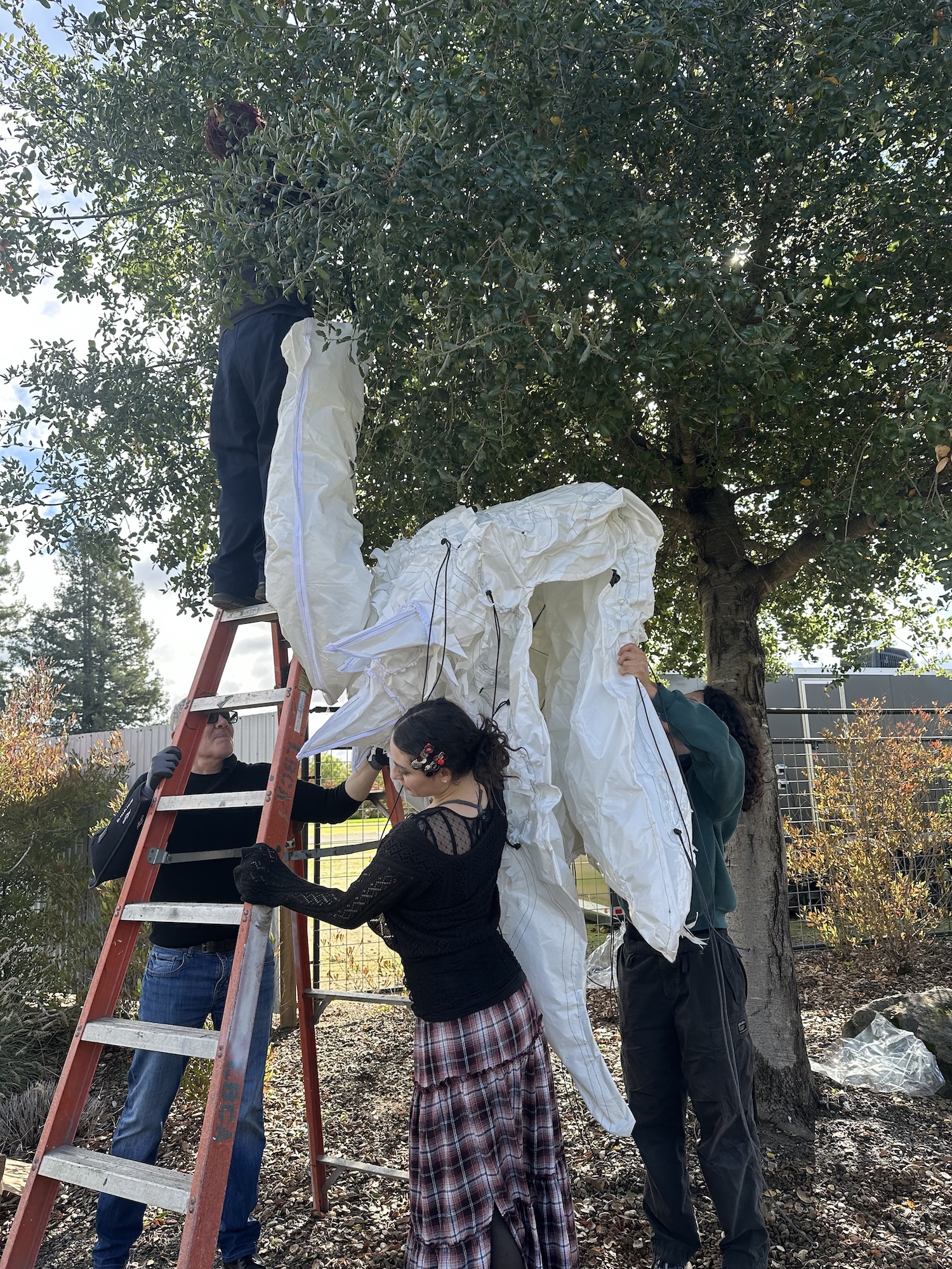 dennise-sosa-3-art33a-fa25