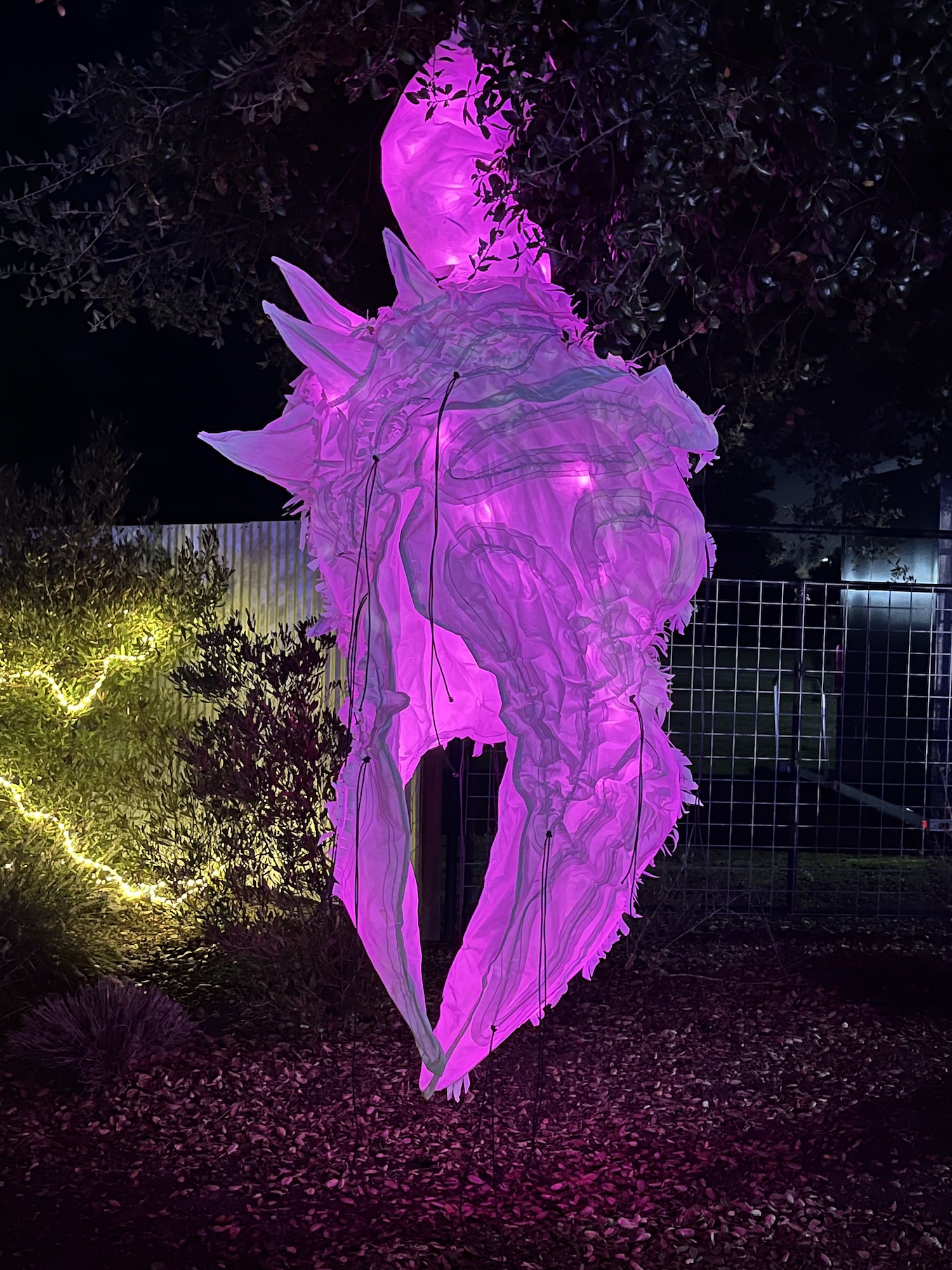 dennise-sosa-6-art33a-fa25