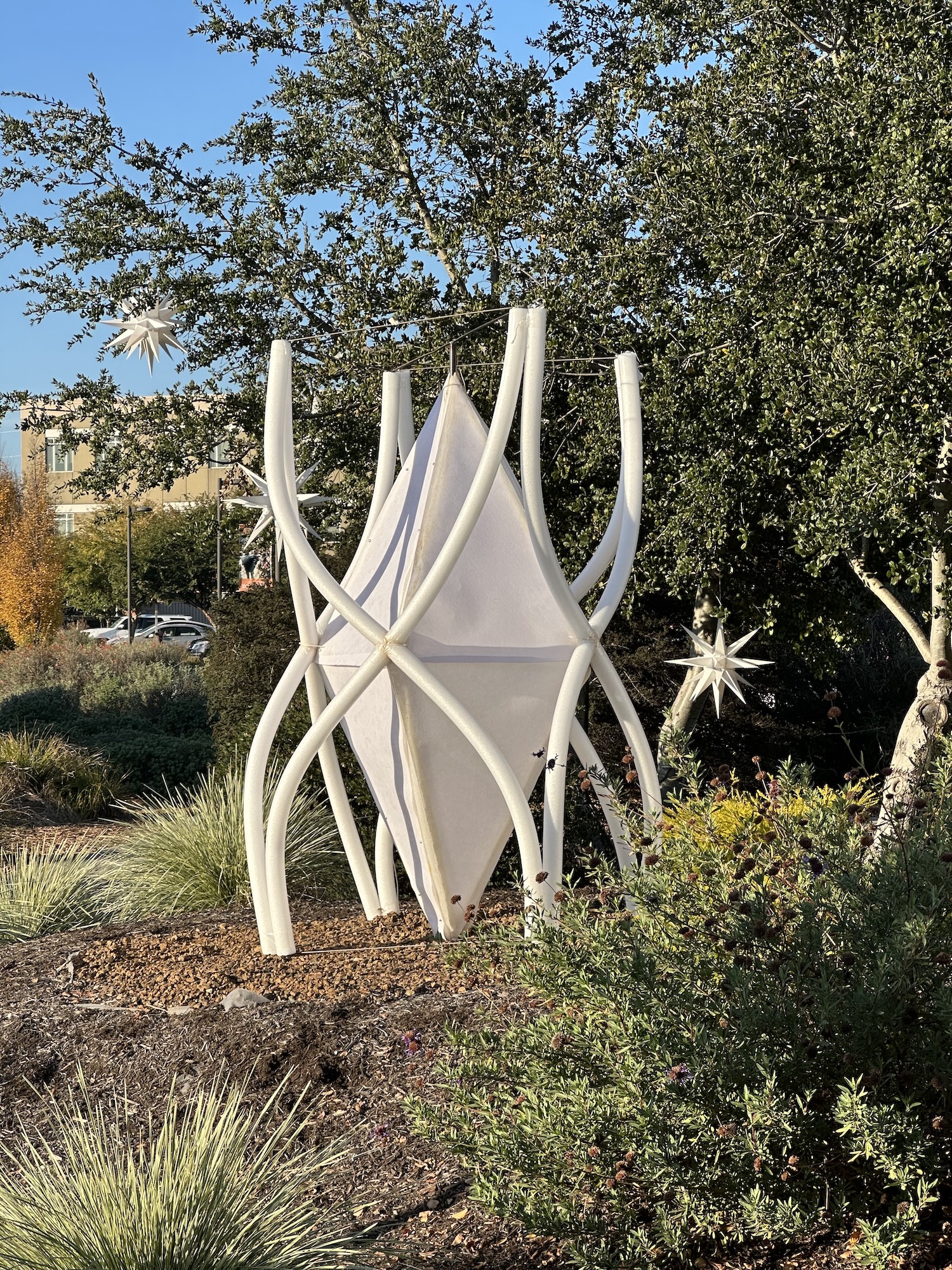 fiona-bunting-thy-hoang-4-art5-fa25