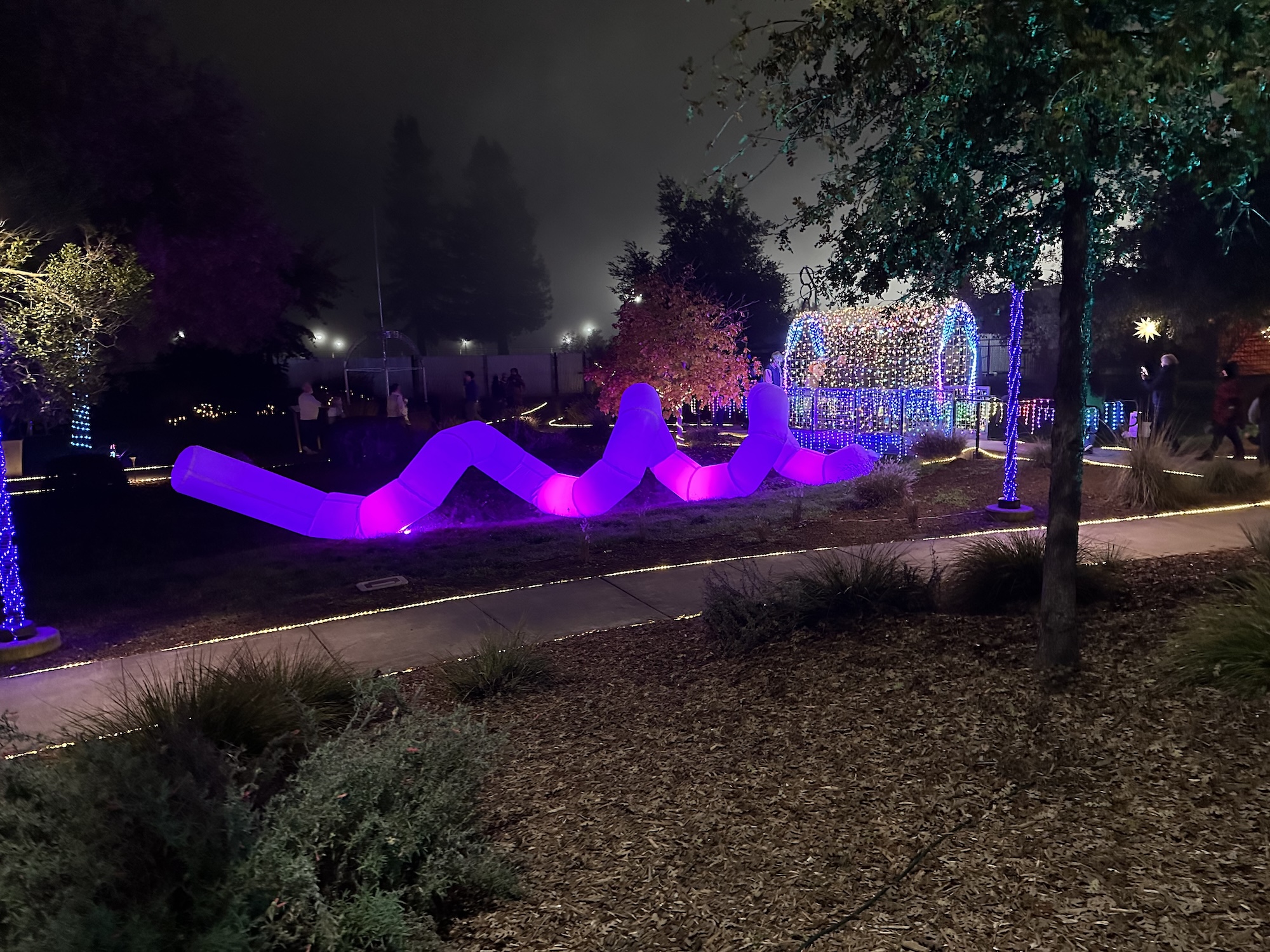 sammy-hammond-11-art33a-fa25