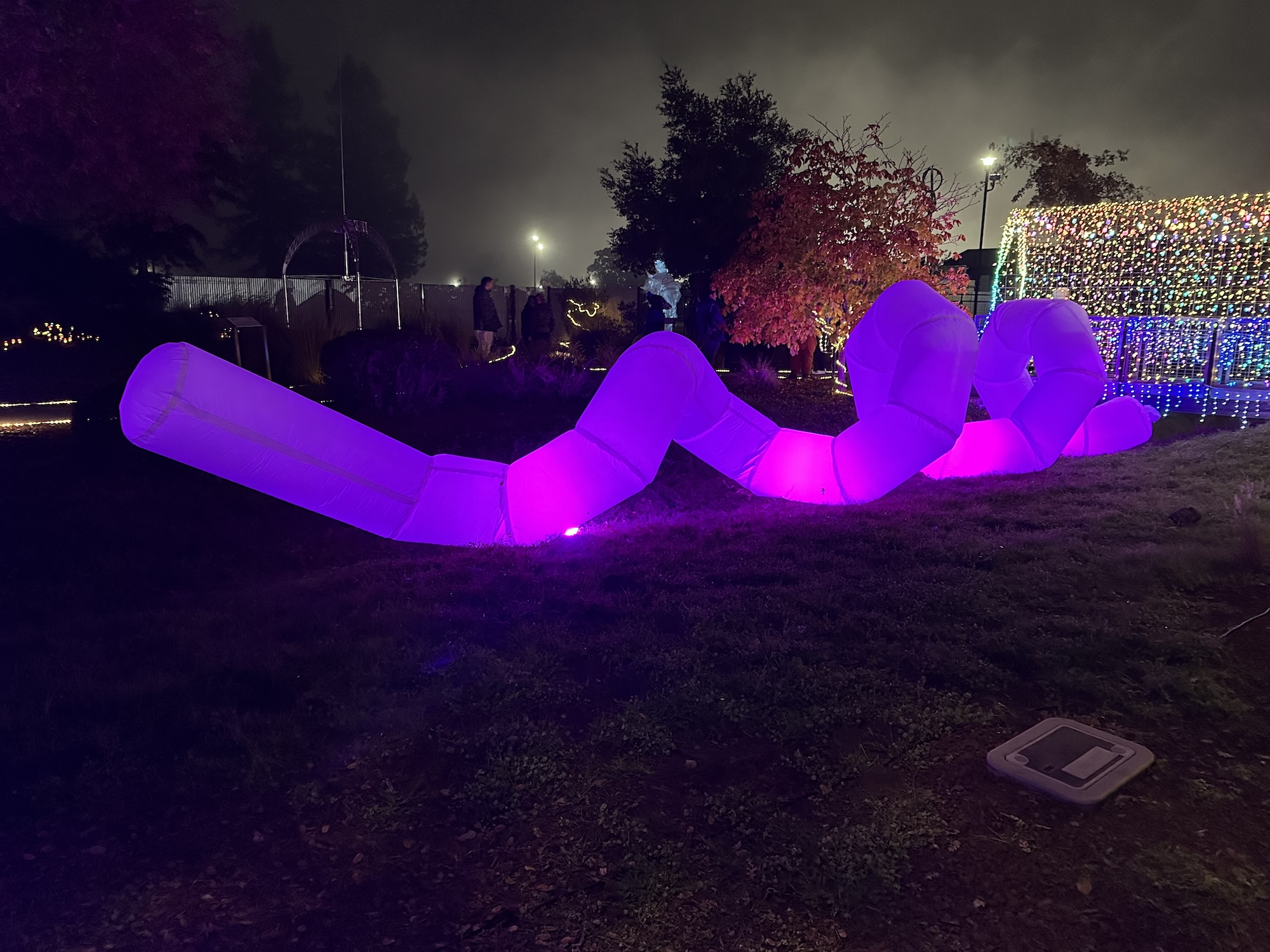 sammy-hammond-8-art33a-fa25