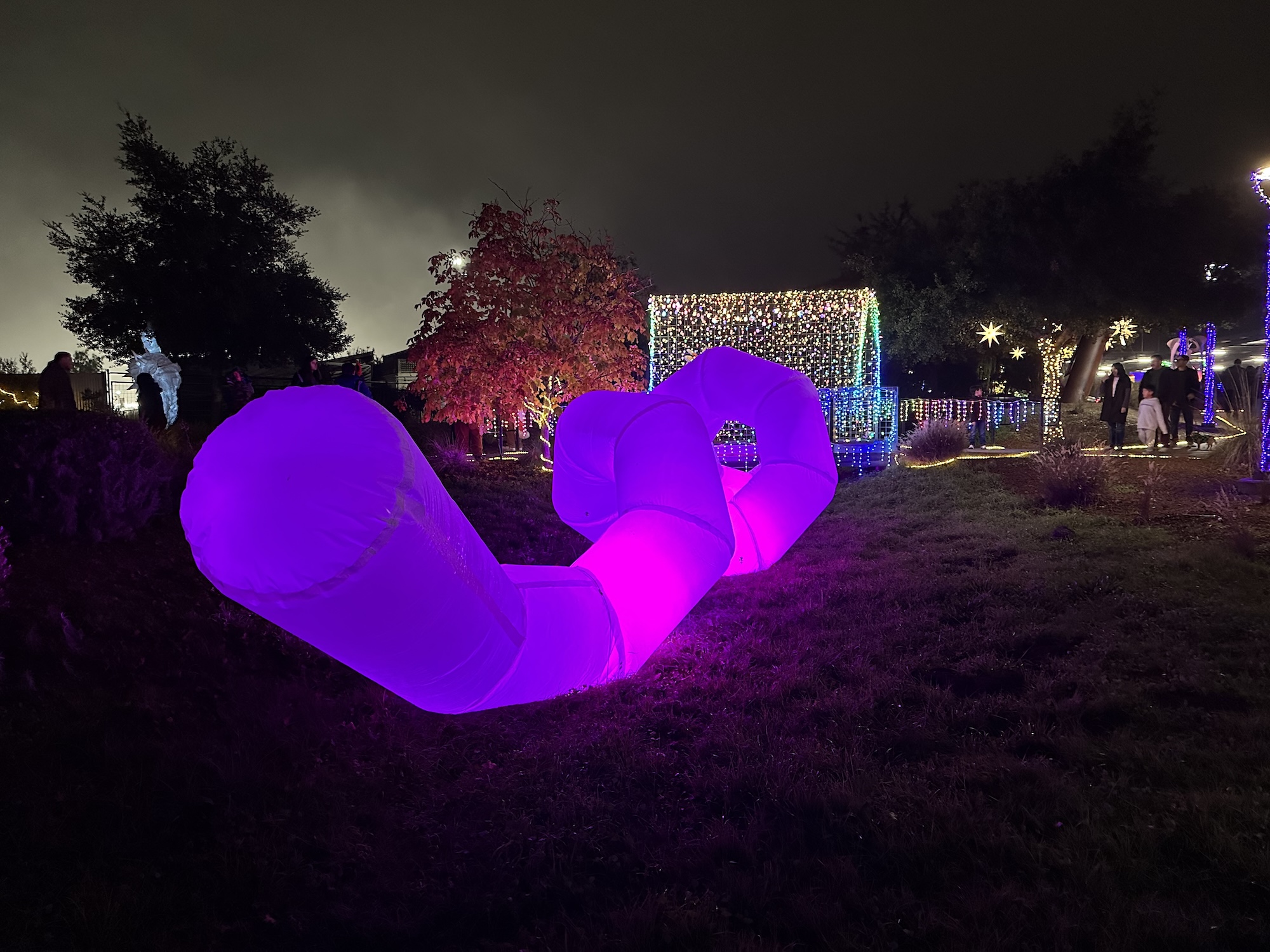 sammy-hammond-9-art33a-fa25