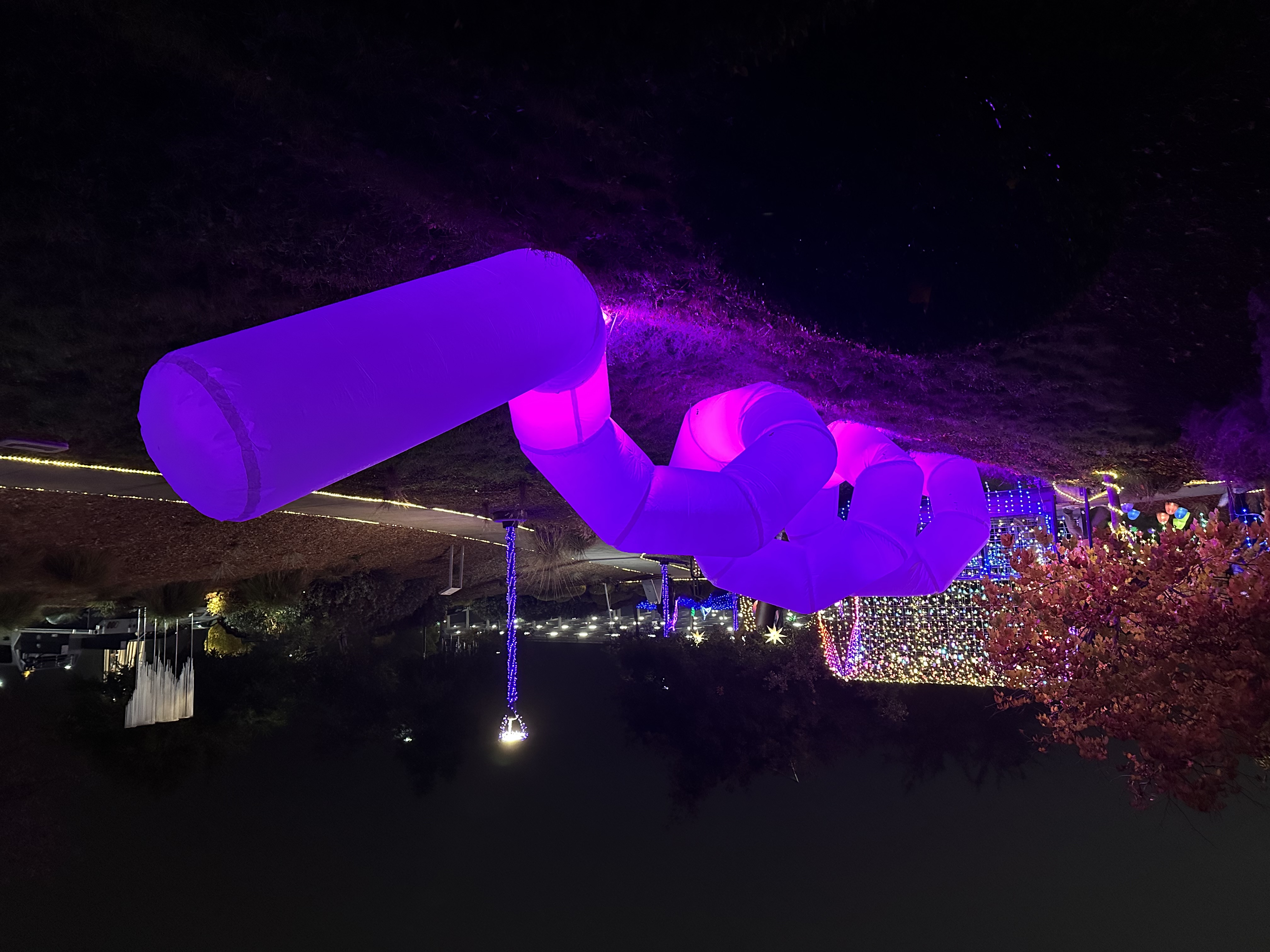 sammy-hammond-10-art33a-fa25