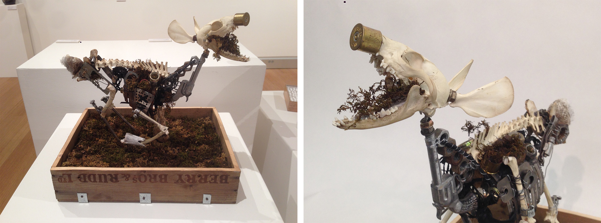 cami-rothmuller-last-laugh